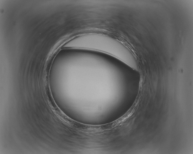 X0000085240101200703090932