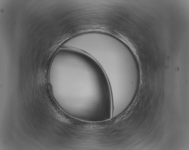 X0000085240105200703090932