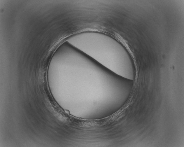 X0000085240106200703090932