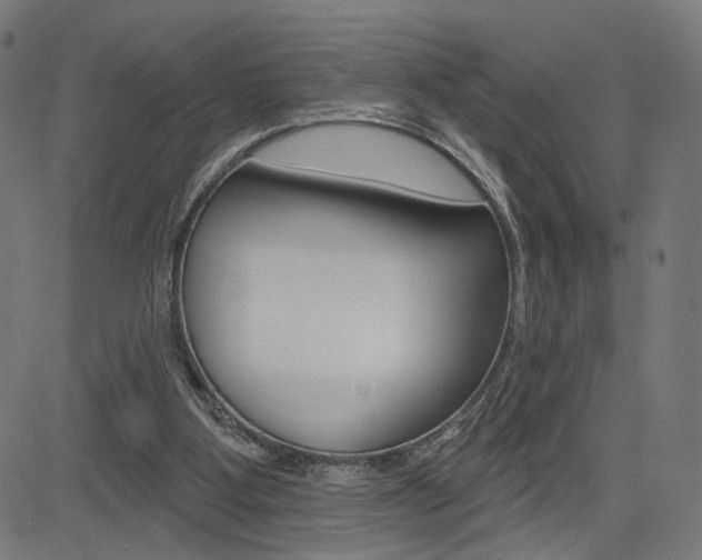 X0000085240107200703090932