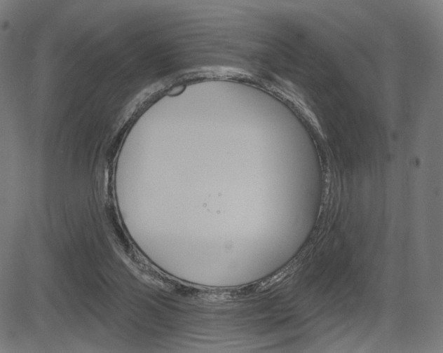 X0000085240110200703090932
