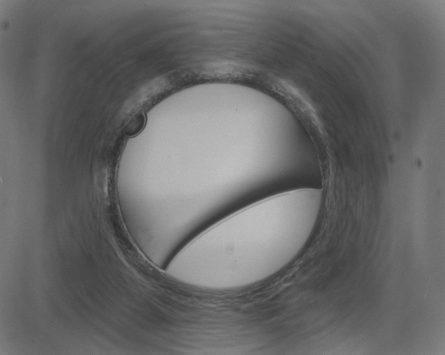 X0000085240115200703090932