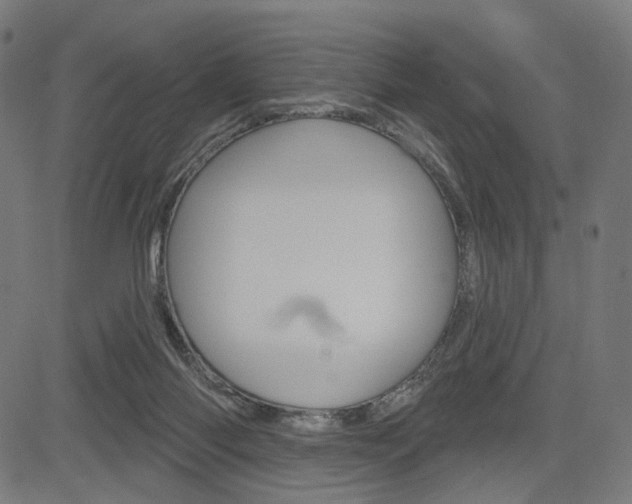 X0000085240118200703090932