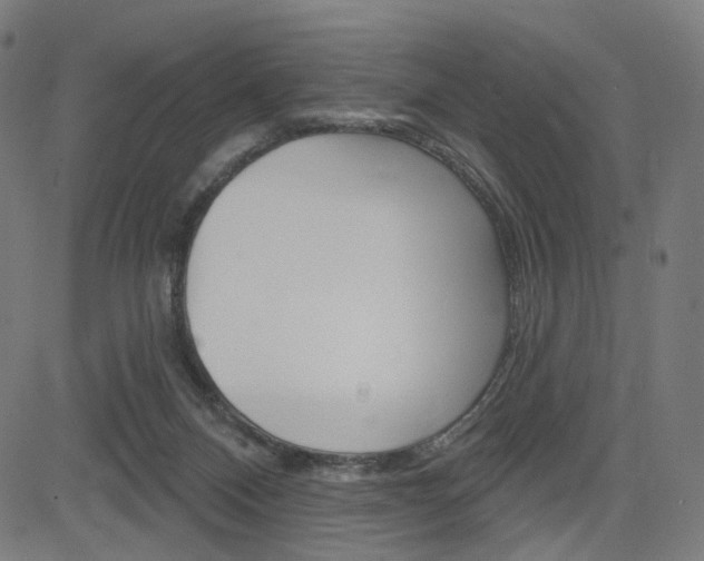 X0000085240120200703090932