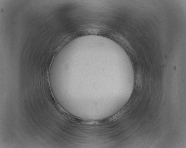 X0000085240122200703090932