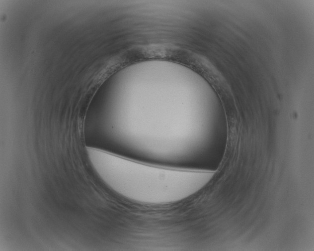 X0000085240125200703090932