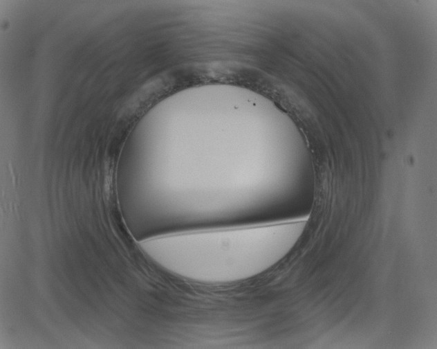 X0000085240129200703090932