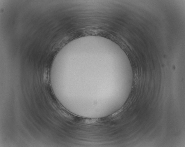 X0000085240134200703090932
