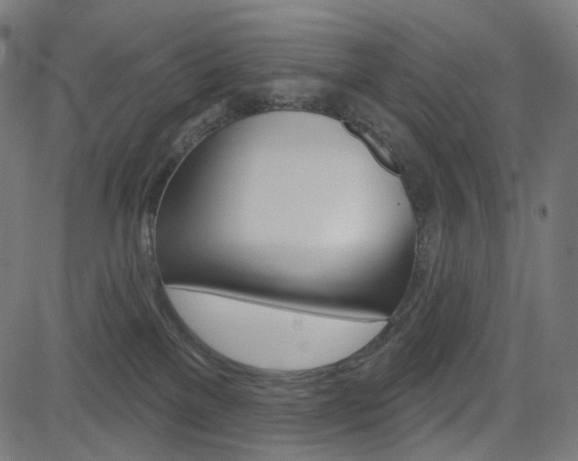 X0000085240137200703090932