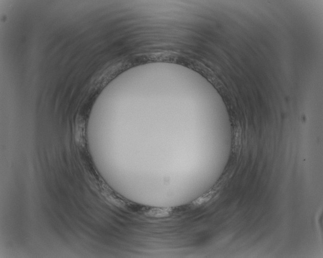 X0000085240138200703090932