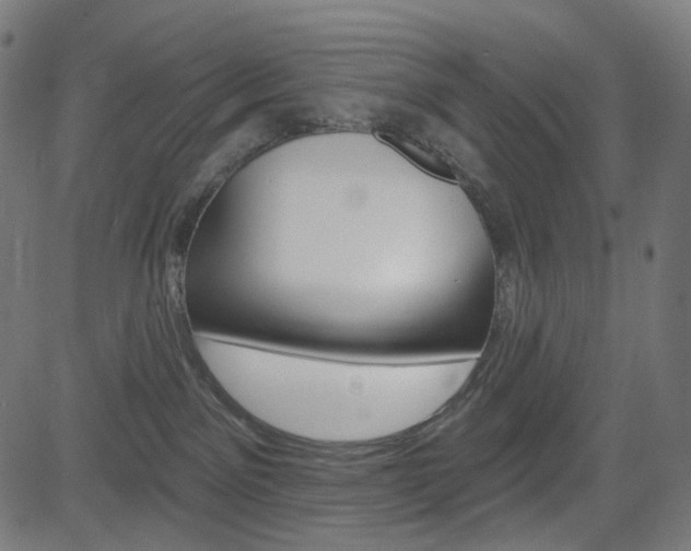 X0000085240141200703090932