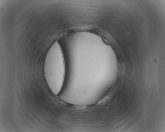 X0000085240143200703090931