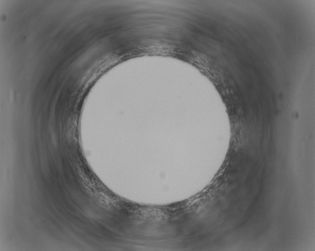 X0000085240146200703090931