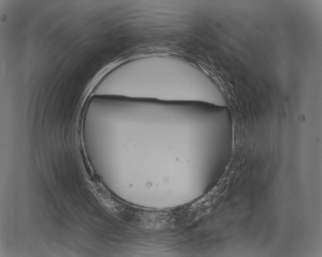 X0000085240147200703090931