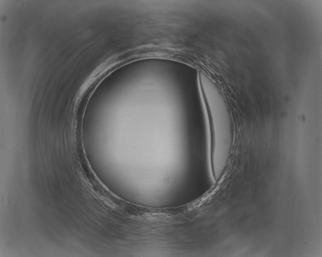 X0000085240150200703090931