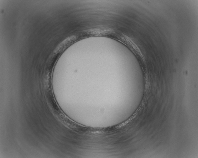 X0000085240163200703090931