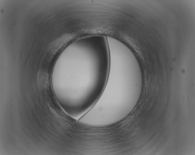 X0000085240164200703090931
