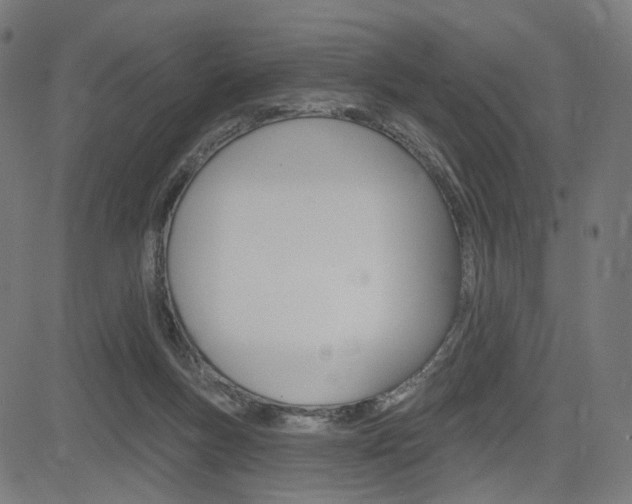 X0000085240167200703090931
