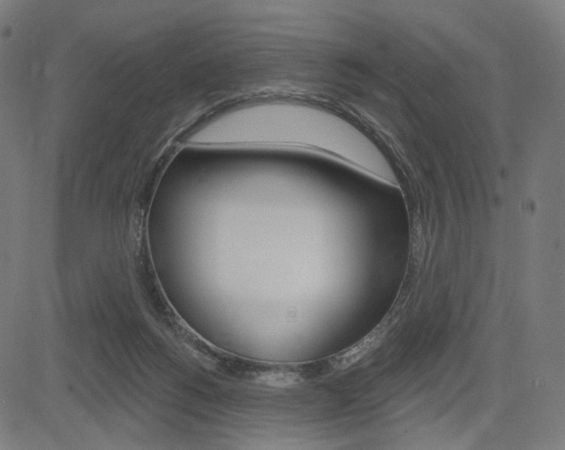 X0000085240168200703090931