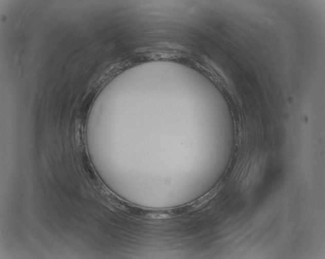 X0000085240169200703090931