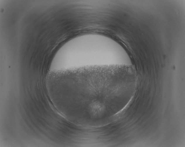 X0000085240171200703090931