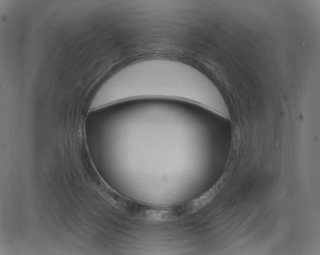 X0000085240172200703090931