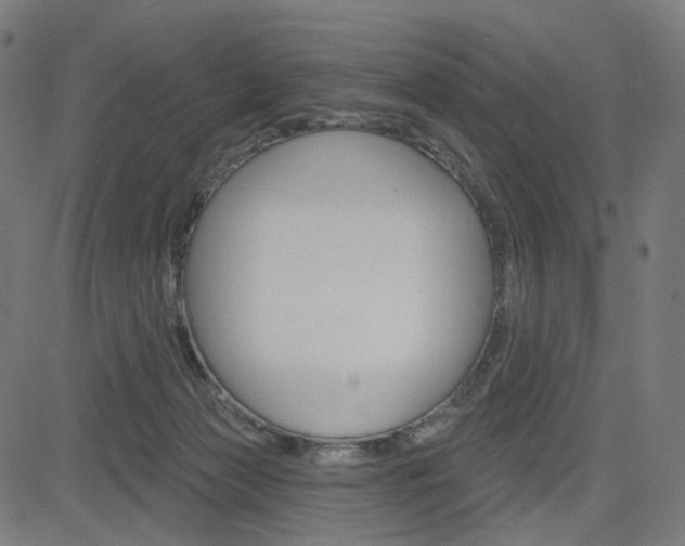 X0000085240173200703090931