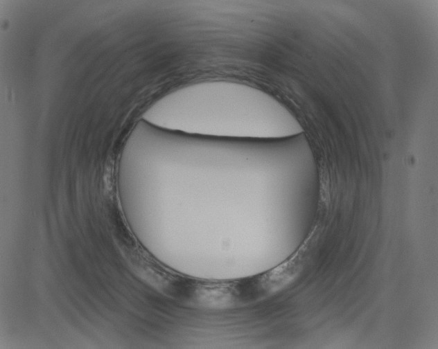 X0000085240175200703090931
