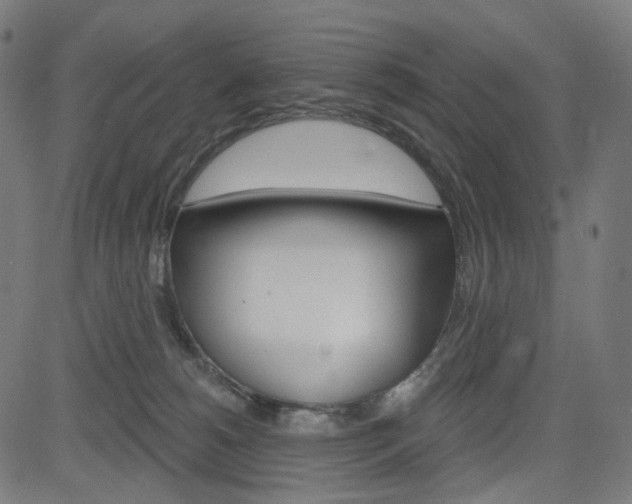 X0000085240180200703090931