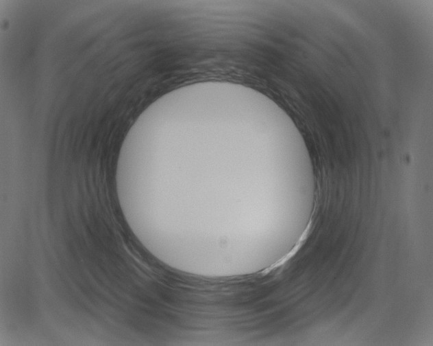 X0000085240186200703090931