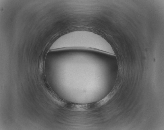 X0000085240188200703090931