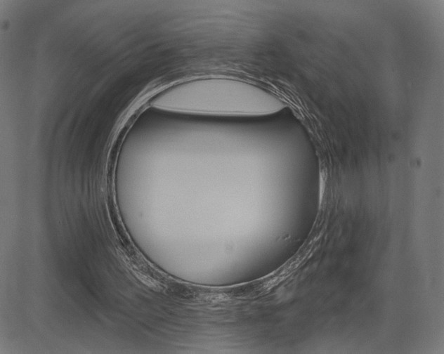 X0000085240195200703090931