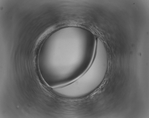 X0000085240197200703090931