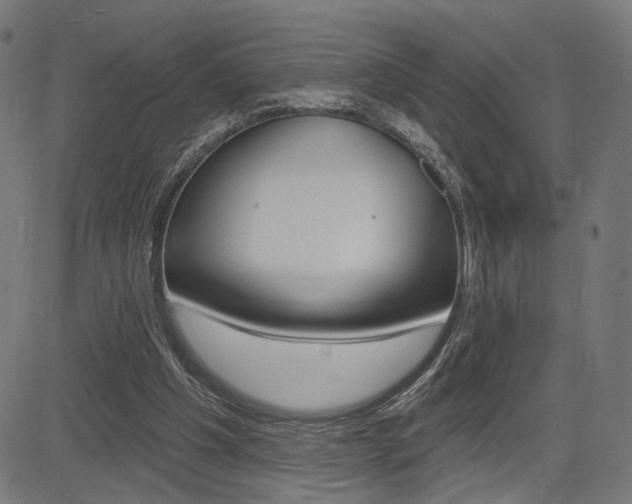 X0000085240201200703090931