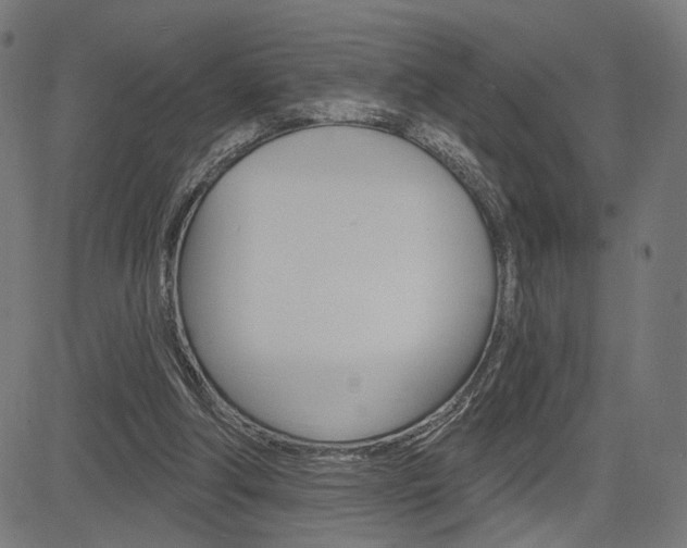 X0000085240202200703090931