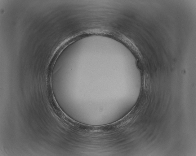 X0000085240204200703090930