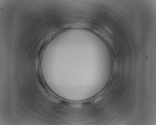 X0000085240206200703090930