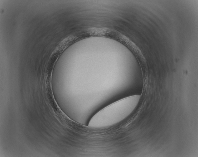 X0000085240209200703090930