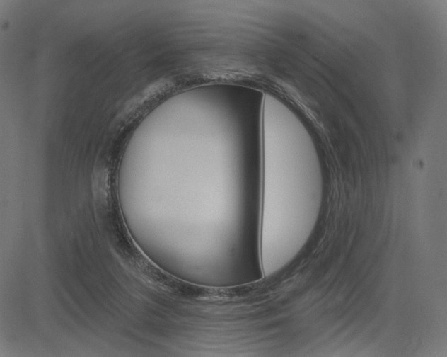 X0000085240211200703090930