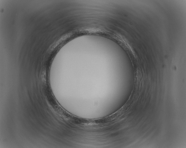 X0000085240212200703090930