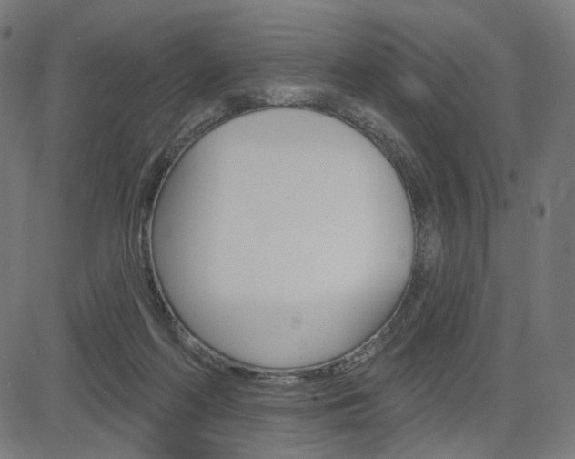X0000085240214200703090930