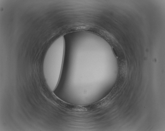 X0000085240215200703090930