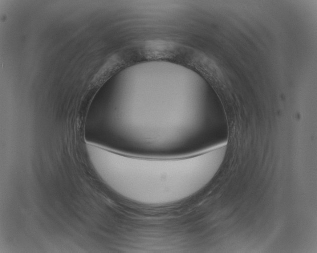 X0000085240219200703090930