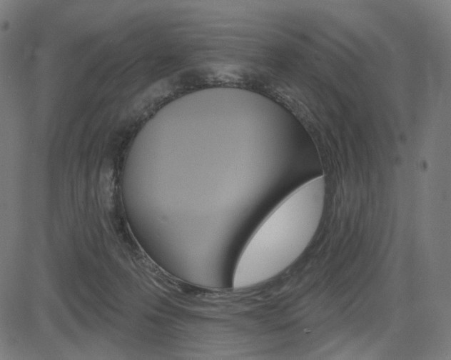 X0000085240223200703090930