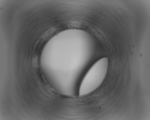 X0000085240224200703090930