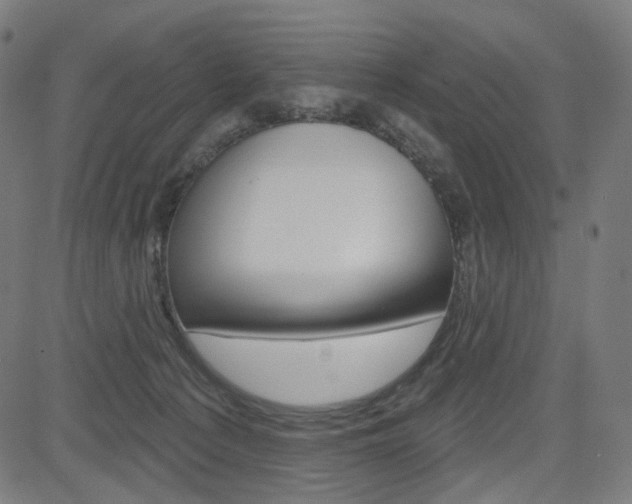 X0000085240225200703090930