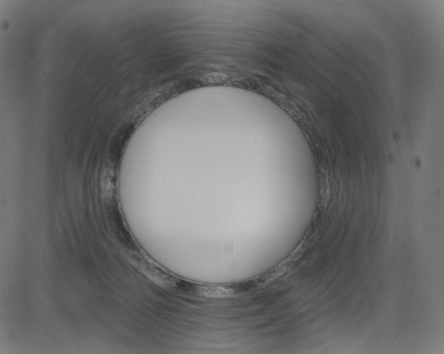 X0000085240226200703090930
