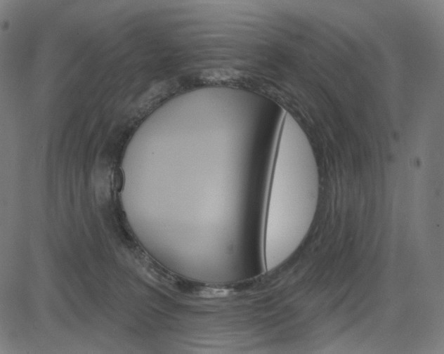 X0000085240227200703090930