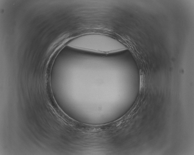 X0000085240243200703090929