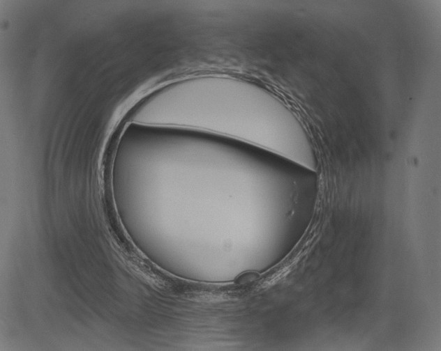 X0000085240246200703090929